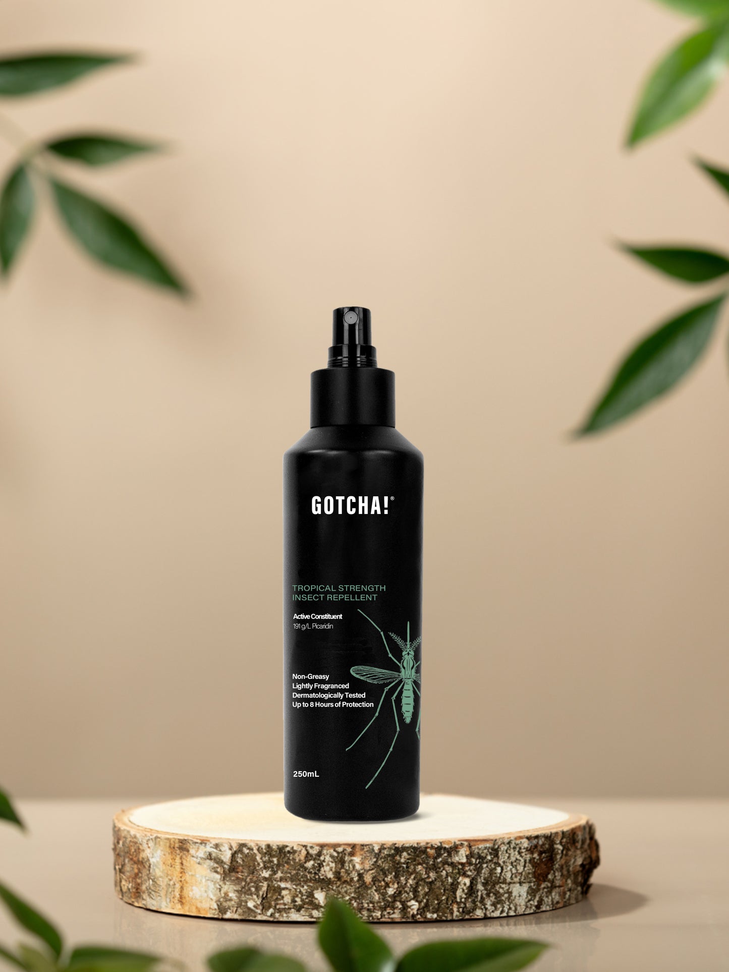 Insect Repellant 250mL Spray.